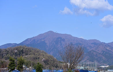 b0003.jpg