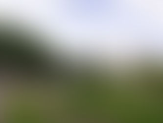 Feira da Glória: parte gastronômica vai ficar na Praça Paris