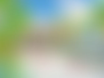 DV-1496 บ้านซันนี่ 4