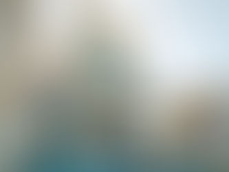 DV-2284 Tropical Garden