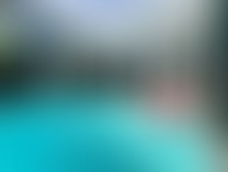 DV-2264 Madaguscar 3