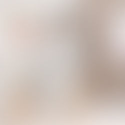 What Is the Adore Society of Celebration? (And Why It Changes Everything About Wedding & Event Planning)