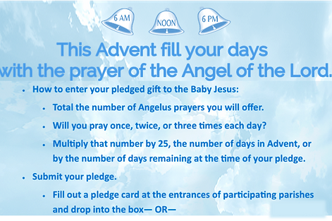 angelus for advent challenge