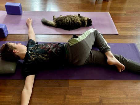 Entspannte Yoga-Position mit Kind und Katze als Symbol für Ruhe, Selbstannahme und achtsames Yoga bei Ricarda Wellauer in Bonstetten