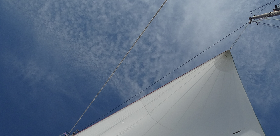 20240805DSC02622MSmit.png