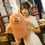 Thumbnail: Plush Cartoon Bear/Panda Stuffed Toy Throw Pillow Gift Decoration ICE BEAR