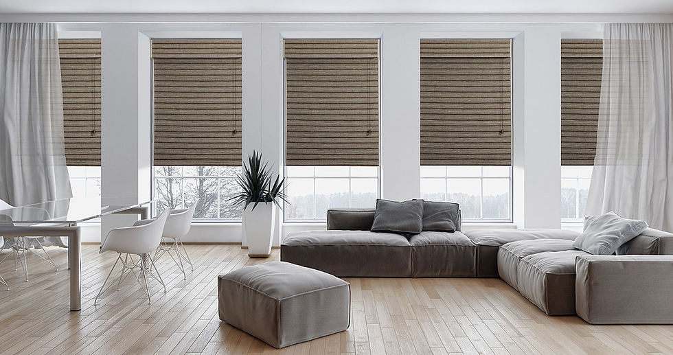 Thumbnail: SHADES AND BLINDS