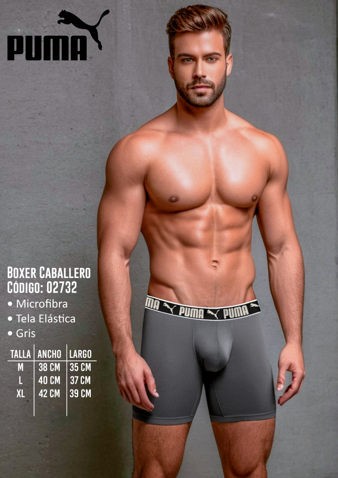 Boxer Puma