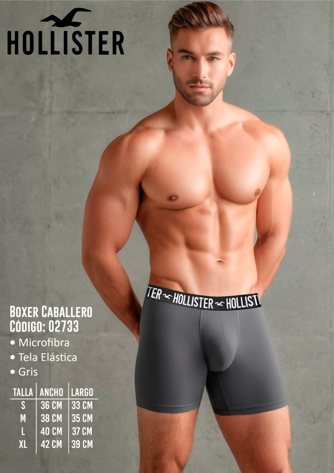 Boxer HOLISTER