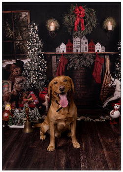 410754084_372982088589735_2098189174942461821_n