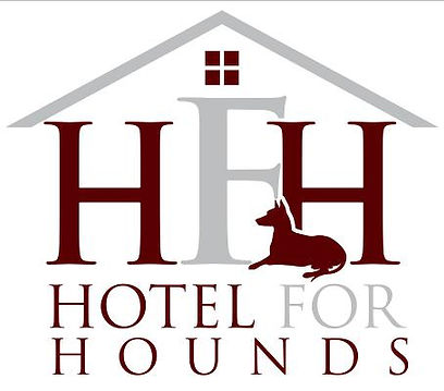 Herts essex dog walking dog day care, hallingbury stortford stansted