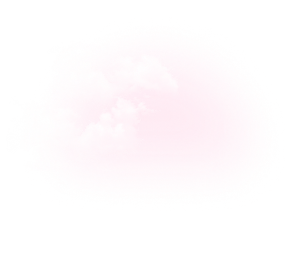 Pink Poppy Flowers