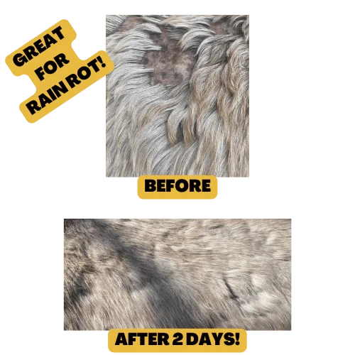 Thumbnail: Equiflavin Mud