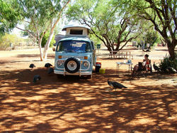 0047 - Homer And Some Birds.JPG