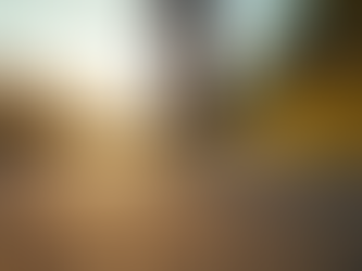 What Makes Team Evolve Stand Out? Exploring Multisport Team Benefits