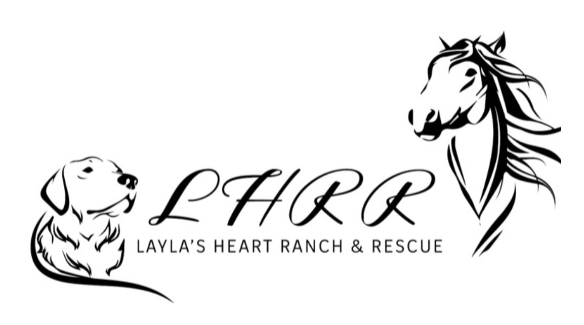 Home | Layla's Heart Ranch Home | Layla's Heart Ranch