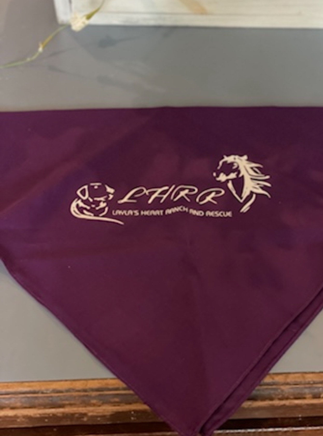 Dog Bandana