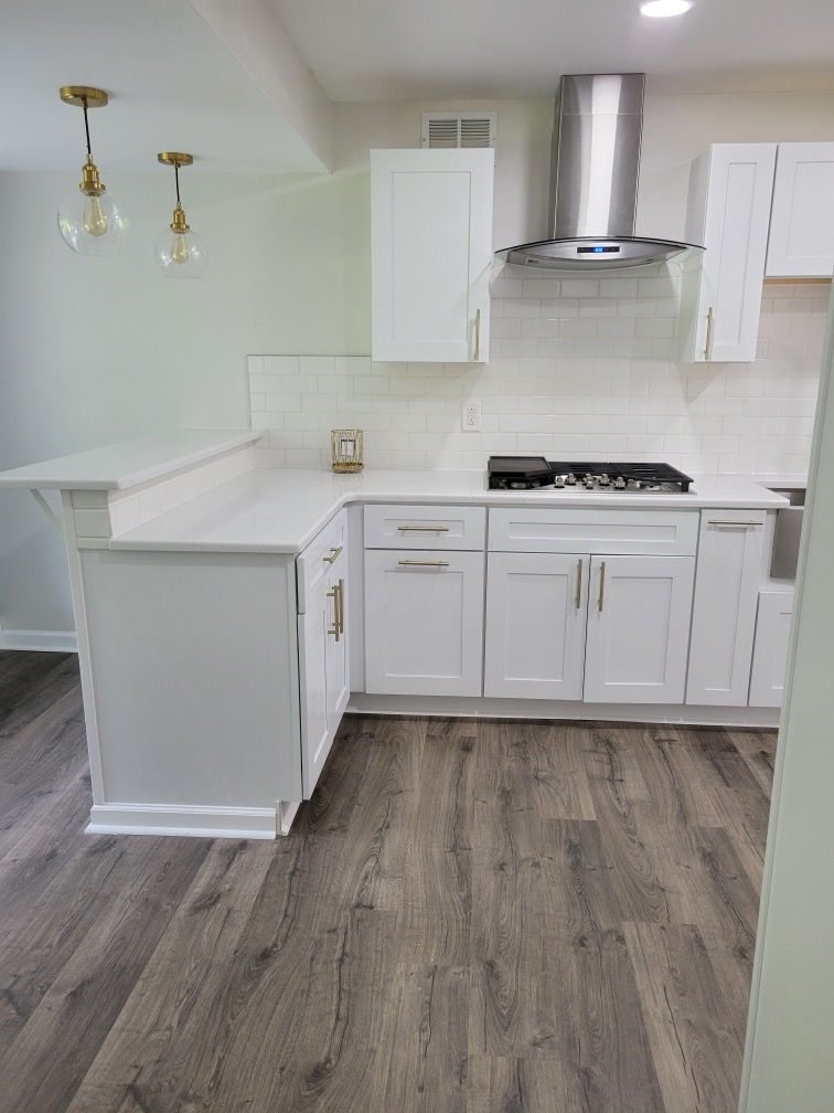 full kitchen reno