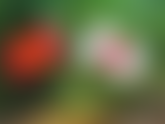 Illustration of Vietnam and Japan flags side by side, symbolizing Japan SMEs in Vietnam and their market entry opportunities.