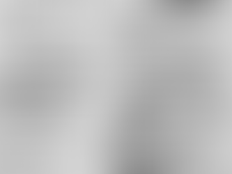 New Brunswick Day, Monday 05082024