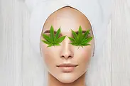weedheader.webp