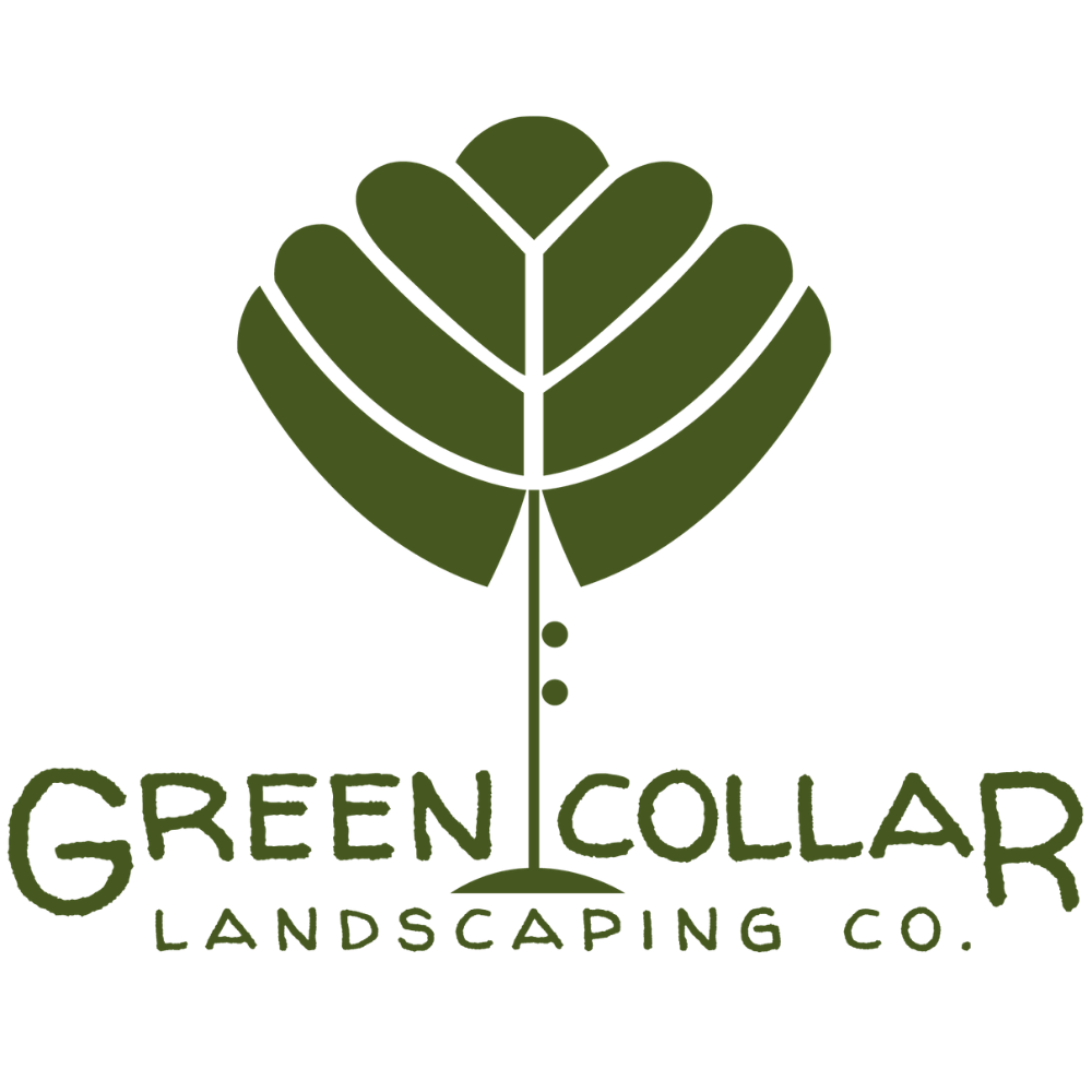Writer: Green Collar Landscaping