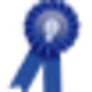 Blue Ribbon Results Academy logo