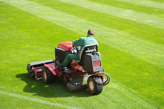 Professional Lawn Mowing.jpeg