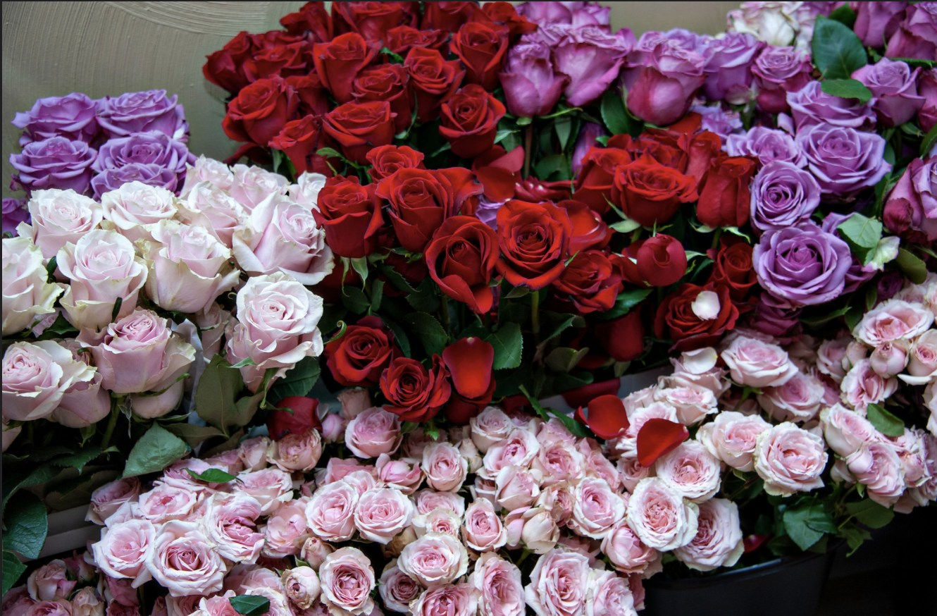 Fresh Flowers.jpeg