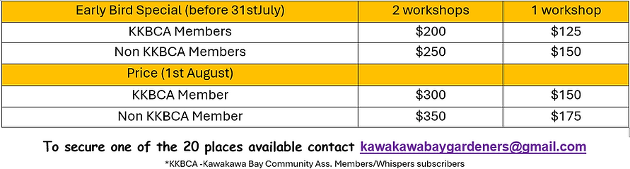 workshop fees 2025.png