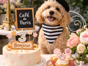 a dog celebrating a parisian themed party
