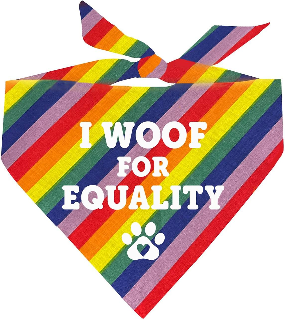 Pride bandana 