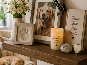 pet memorial shelf
