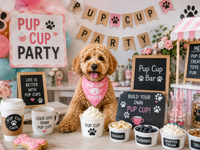 a pup cup party