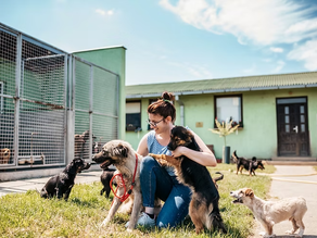 a woman at an animal shelter