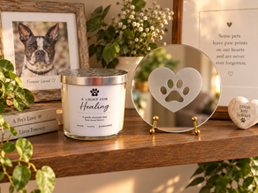 a pet memorial mirror and pet memorial shelf