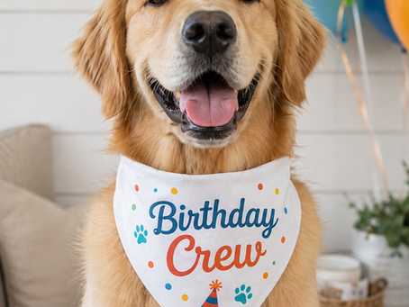 a dog wearing a birthday bandana