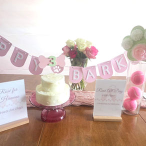dog party decorations