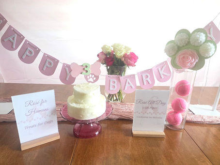 dog party decorations