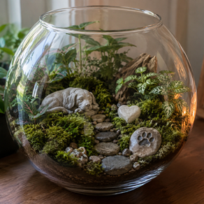 Terrarium as an Indoor Pet Memorial Garden
