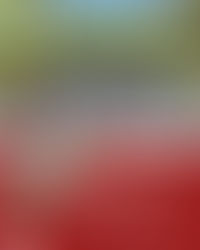 STEMulating Summer 6.0