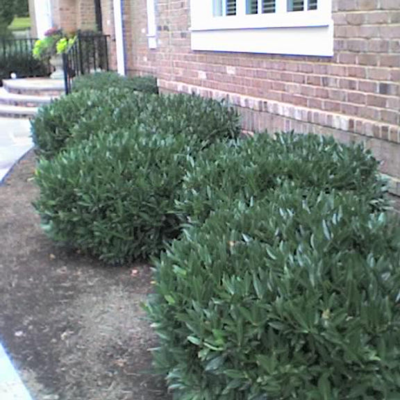 07-30-07_1334.jpg