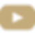 youtube (1).png
