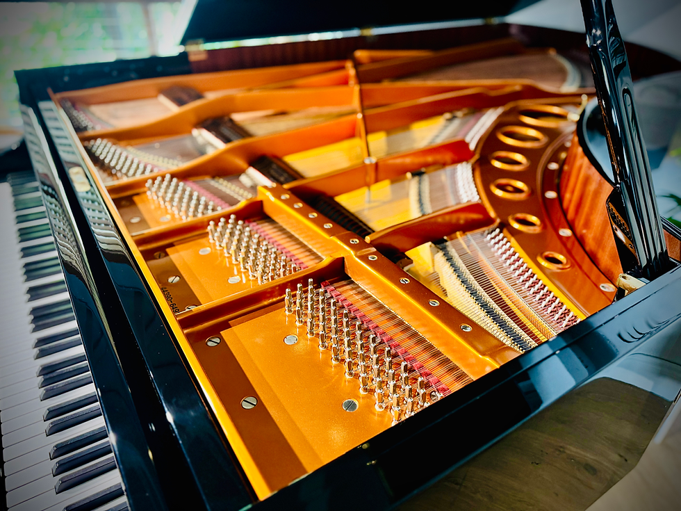 Thumbnail: 92 Note Bösendorfer 225 ‘Imperial’ Semi-Concert Grand Piano.