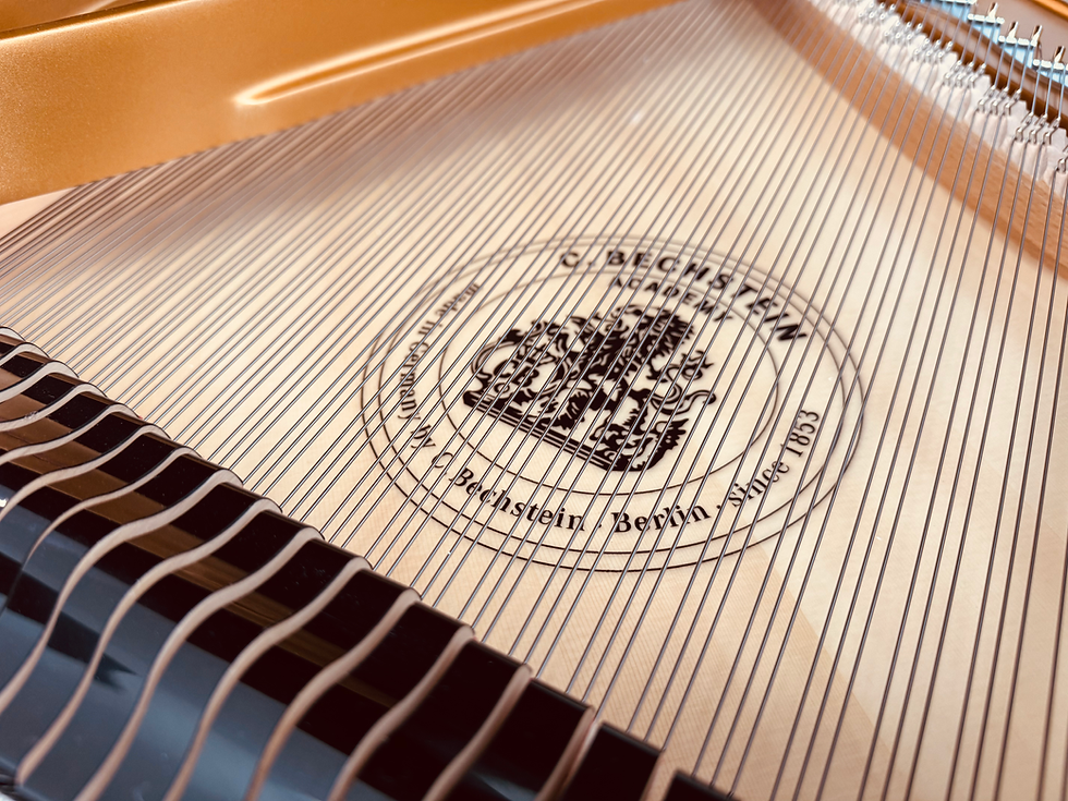 Thumbnail: C.Bechstein A-190 Professional Grand Piano