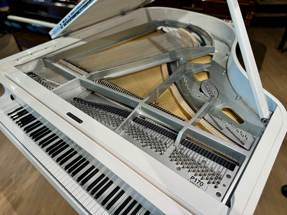 Thumbnail: New Pleyel ‘Chopin Series’ Artisan Grand Piano