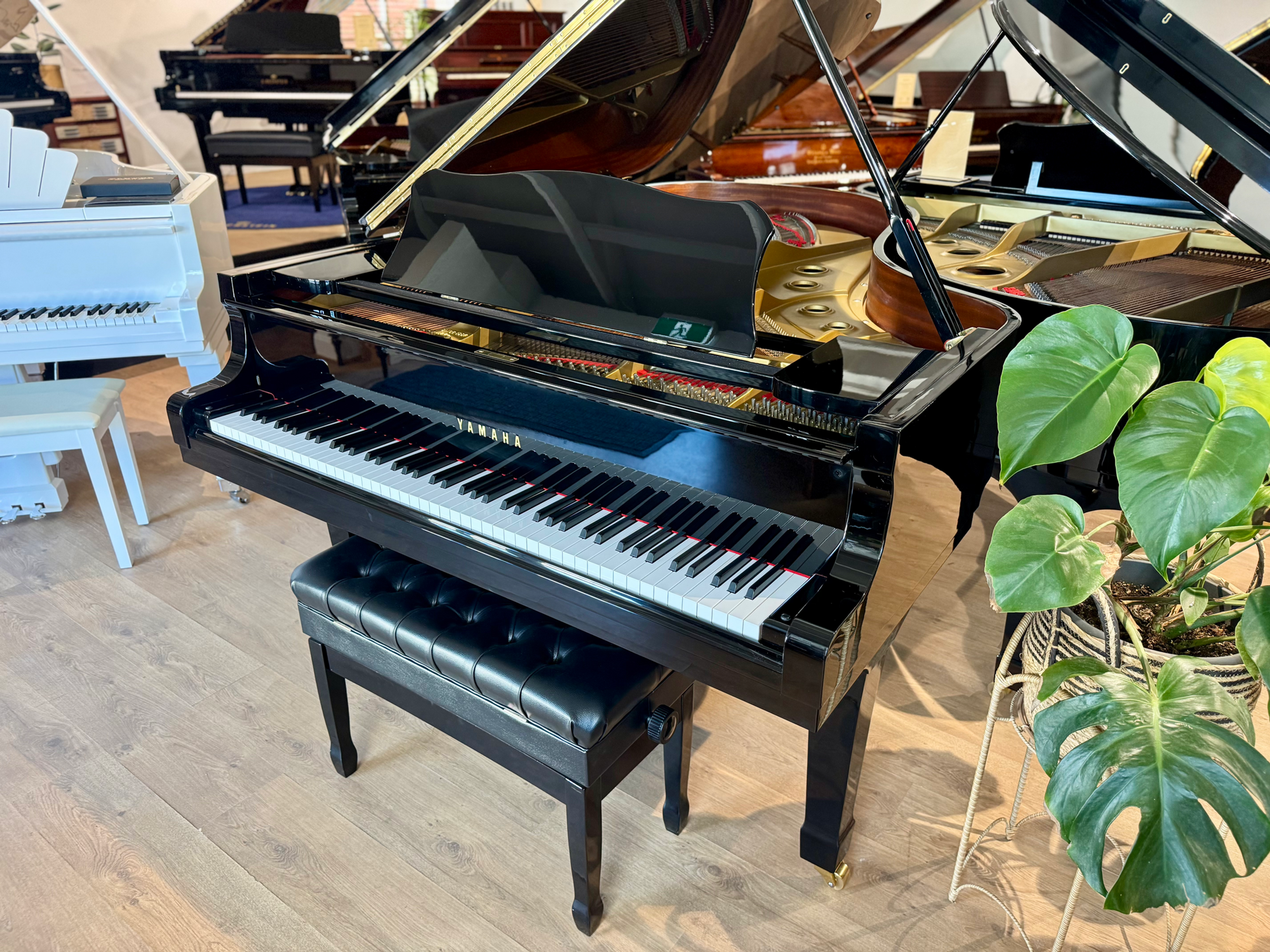 Yamaha C7A(PE) ‘Professional’ Grand Piano