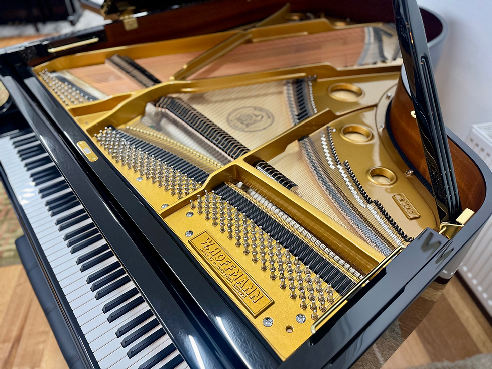 Thumbnail: W.Hoffmann V175 Professional Grand Piano