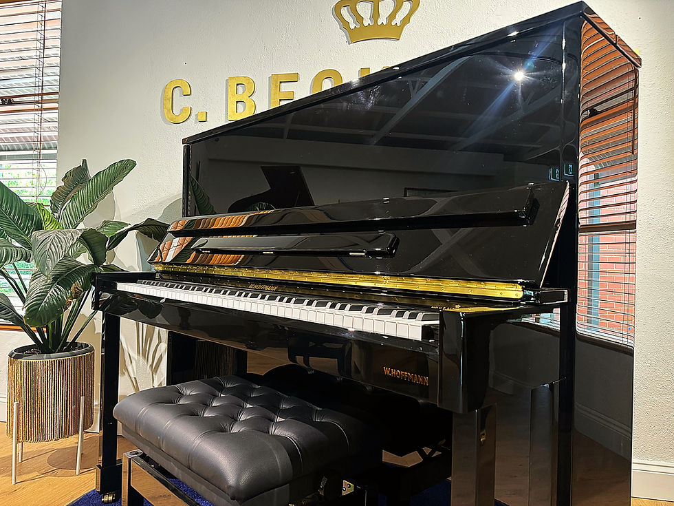 Thumbnail: W.Hoffmann V120 Professional Upright Piano