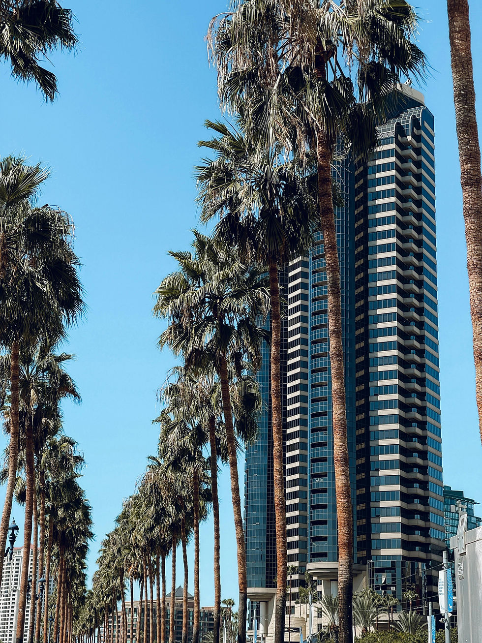 pexels-thesovereignwolf-16371343.jpg